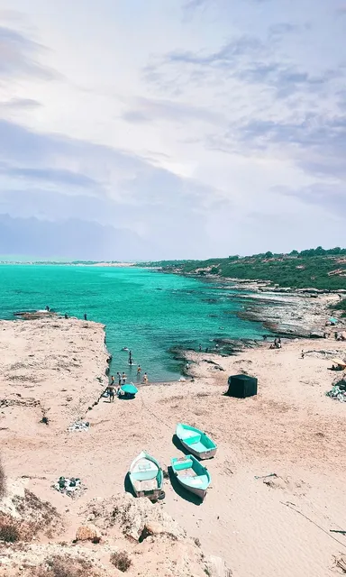 Détails : Blida Guide : Votre guide sur la wilaya de BLIDA