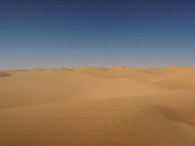 Détails : Petites annonces en Algérie