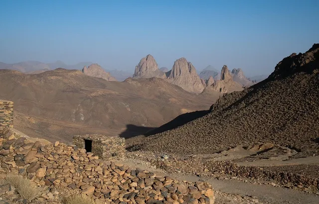 Détails : GLOBAL BBS Algérie ( transport routier de tous typ