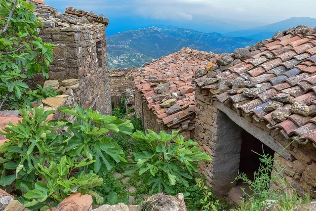 Détails : Algérie Immobilier
