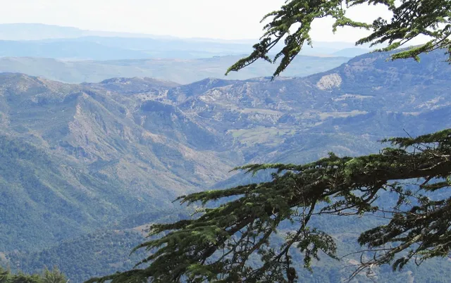 Détails : EGTT | Accueil_EGTT | Entreprise de Gestion Touristique de Tlemcen